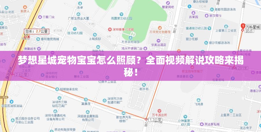 梦想星城宠物宝宝怎么照顾？全面视频解说攻略来揭秘！