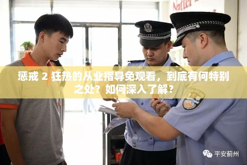 惩戒 2 狂热的从业指导免观看，到底有何特别之处？如何深入了解？