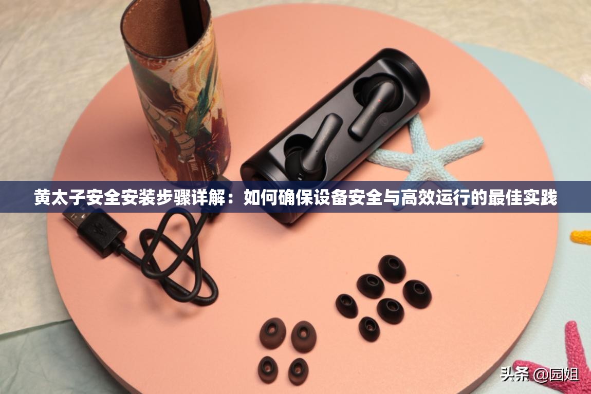黄太子安全安装步骤详解：如何确保设备安全与高效运行的最佳实践
