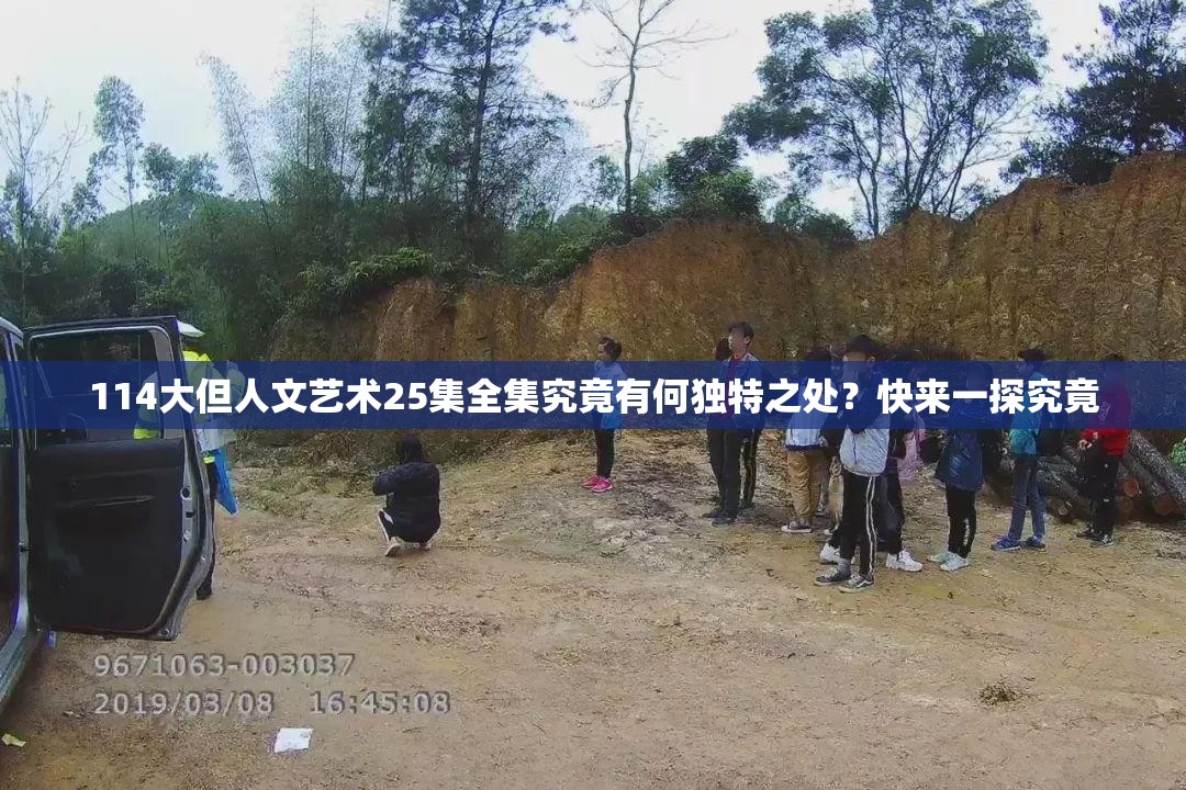 114大但人文艺术25集全集究竟有何独特之处？快来一探究竟