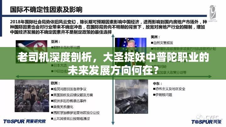 老司机深度剖析，大圣捉妖中普陀职业的未来发展方向何在？