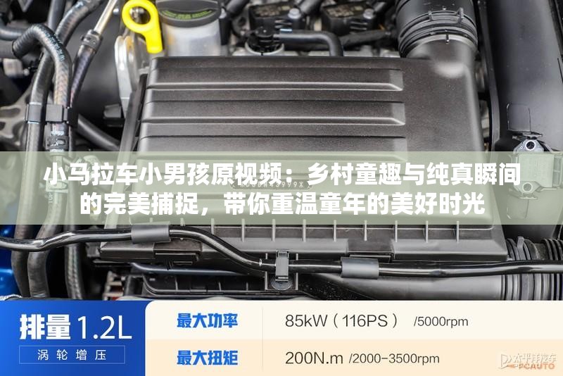 小马拉车小男孩原视频：乡村童趣与纯真瞬间的完美捕捉，带你重温童年的美好时光