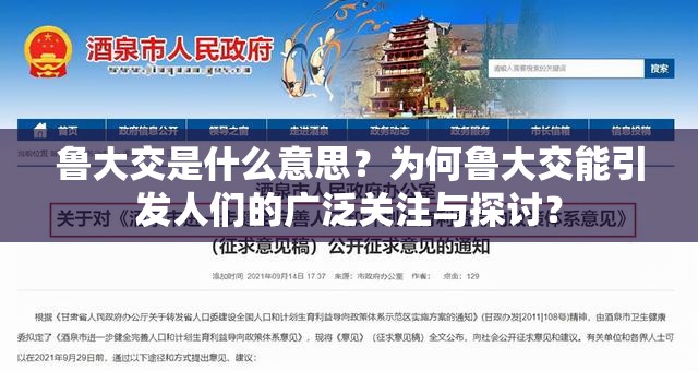 鲁大交是什么意思？为何鲁大交能引发人们的广泛关注与探讨？