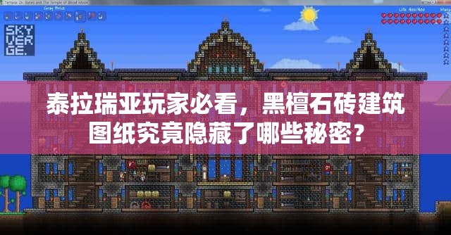 泰拉瑞亚玩家必看，黑檀石砖建筑图纸究竟隐藏了哪些秘密？