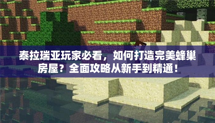 泰拉瑞亚玩家必看，如何打造完美蜂巢房屋？全面攻略从新手到精通！