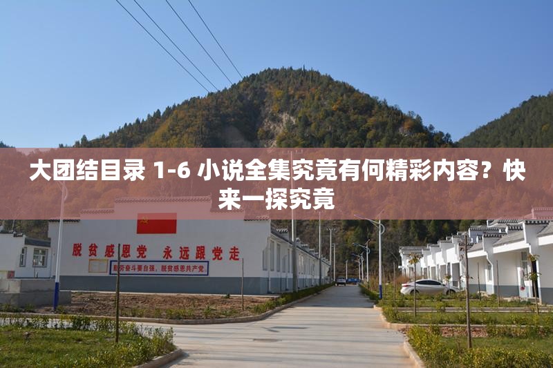 大团结目录 1-6 小说全集究竟有何精彩内容？快来一探究竟