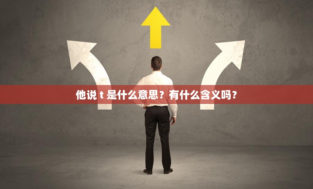 他说 t 是什么意思？有什么含义吗？