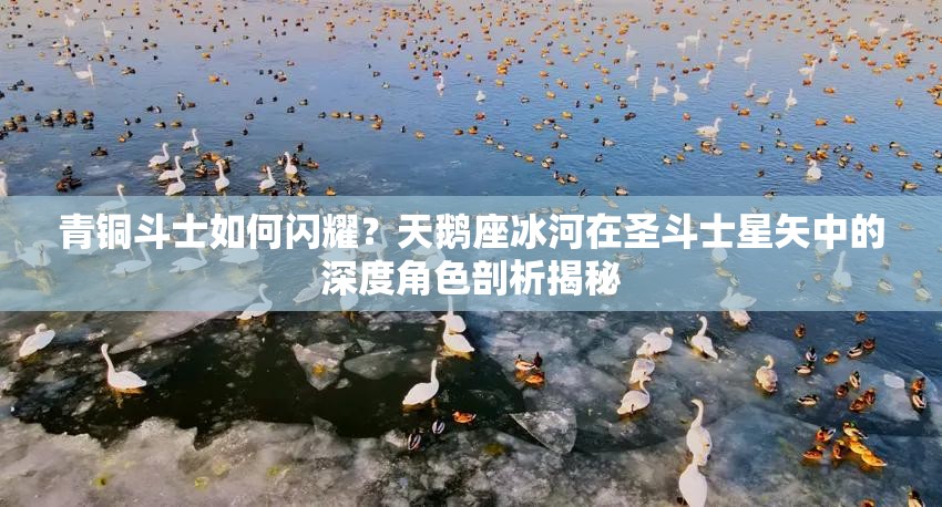 青铜斗士如何闪耀？天鹅座冰河在圣斗士星矢中的深度角色剖析揭秘