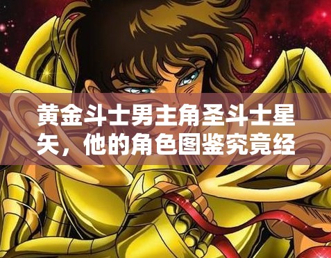 黄金斗士男主角圣斗士星矢，他的角色图鉴究竟经历了怎样的演变史？