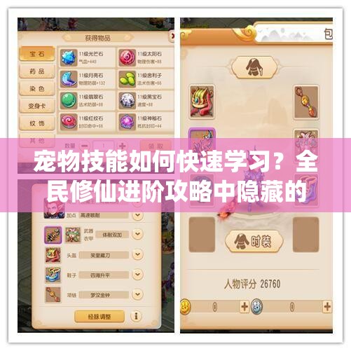 宠物技能如何快速学习？全民修仙进阶攻略中隐藏的秘密？