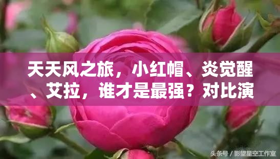天天风之旅，小红帽、炎觉醒、艾拉，谁才是最强？对比演变史揭秘！