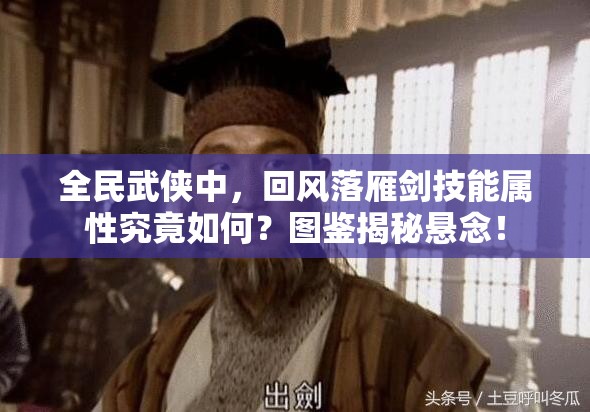 全民武侠中，回风落雁剑技能属性究竟如何？图鉴揭秘悬念！