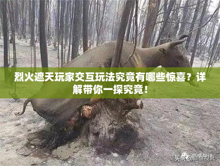 烈火遮天玩家交互玩法究竟有哪些惊喜？详解带你一探究竟！