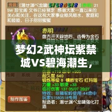 梦幻2武神坛紫禁城VS碧海潮生，视频资源如何高效管理利用成疑？
