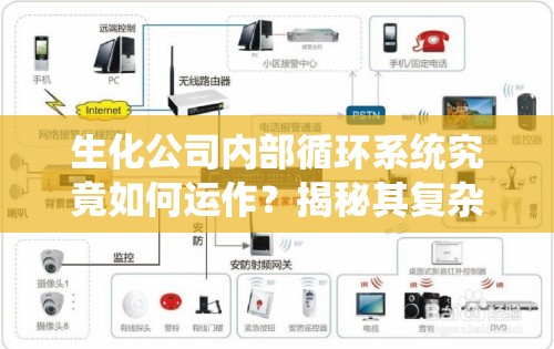 生化公司内部循环系统究竟如何运作？揭秘其复杂机制！