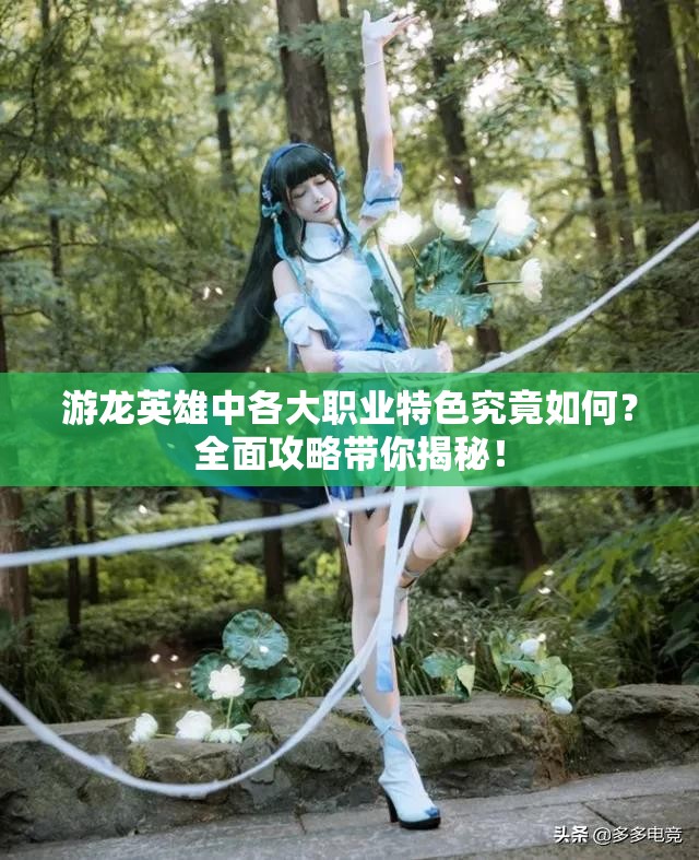 游龙英雄中各大职业特色究竟如何？全面攻略带你揭秘！