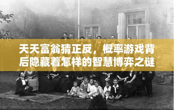 天天富翁猜正反，概率游戏背后隐藏着怎样的智慧博弈之谜？