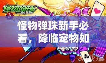 怪物弹珠新手必看，降临宠物如何获取与培养详解揭秘？