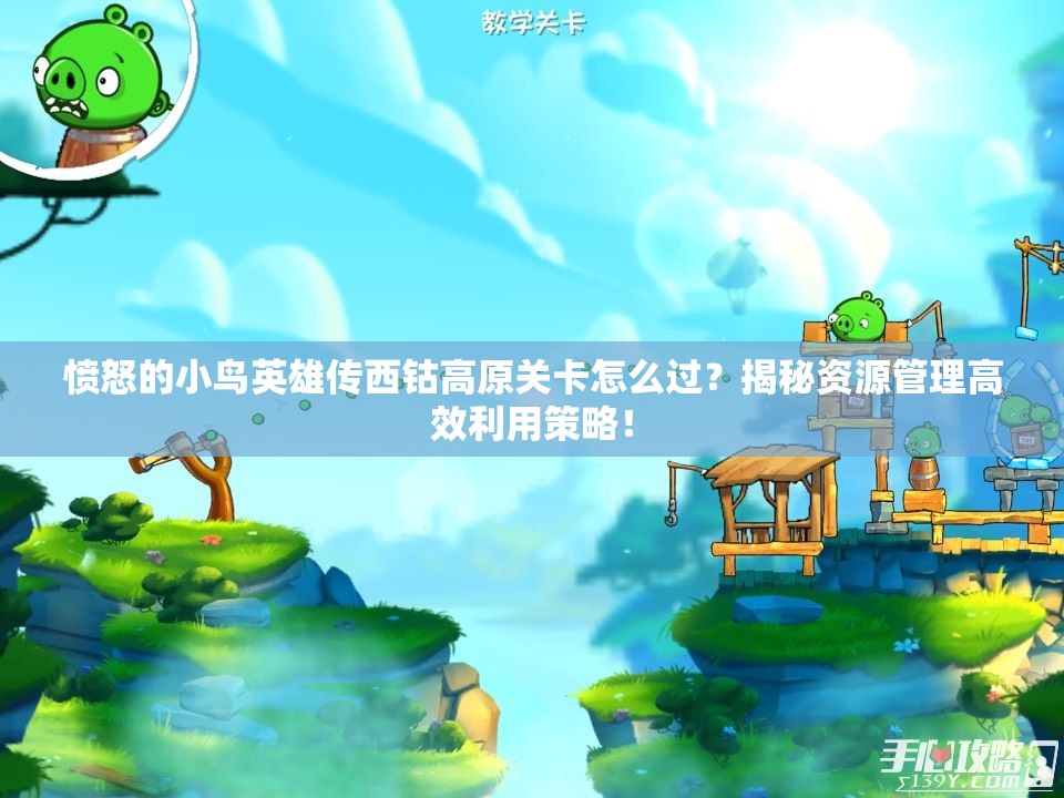 愤怒的小鸟英雄传西钴高原关卡怎么过？揭秘资源管理高效利用策略！