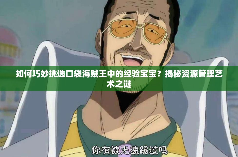 如何巧妙挑选口袋海贼王中的经验宝宝？揭秘资源管理艺术之谜