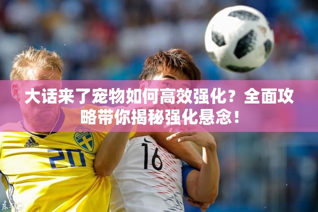 大话来了宠物如何高效强化？全面攻略带你揭秘强化悬念！