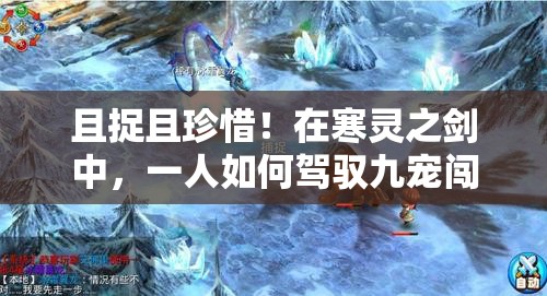 且捉且珍惜！在寒灵之剑中，一人如何驾驭九宠闯江湖？