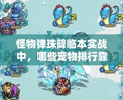 怪物弹珠降临本实战中，哪些宠物排行靠前？深度解析带你揭晓！