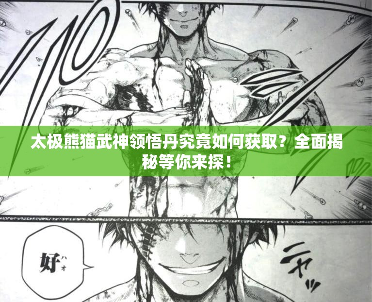 太极熊猫武神领悟丹究竟如何获取？全面揭秘等你来探！