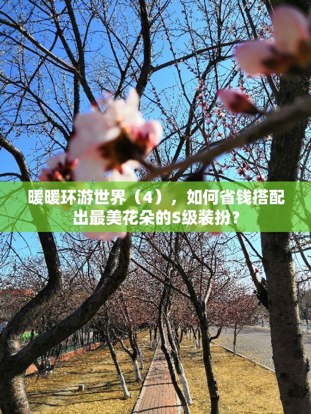 暖暖环游世界（4），如何省钱搭配出最美花朵的S级装扮？