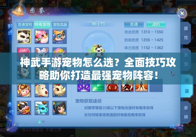 神武手游宠物怎么选？全面技巧攻略助你打造最强宠物阵容！