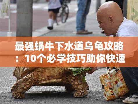 最强蜗牛下水道乌龟攻略：10个必学技巧助你快速通关，隐藏要素全解析