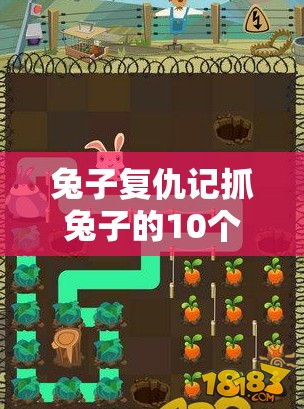 兔子复仇记抓兔子的10个高效方法：从陷阱布置到诱饵选择全攻略
