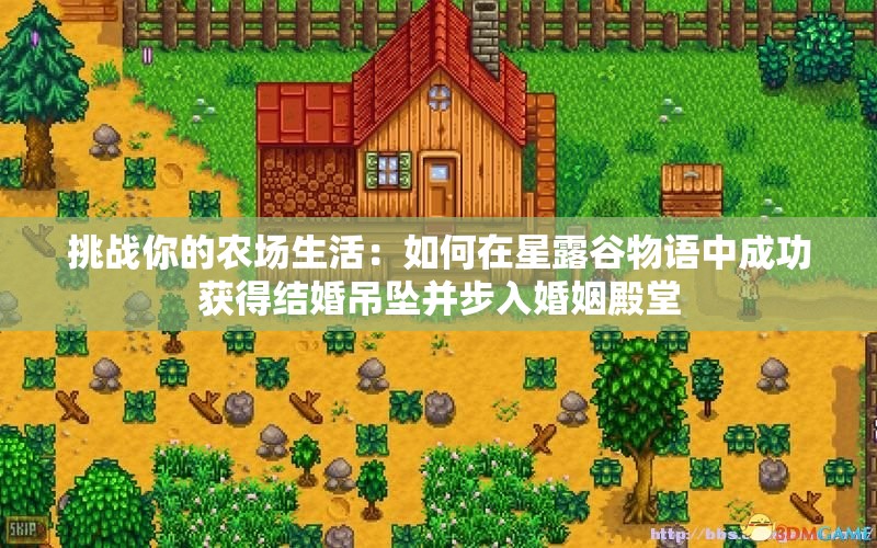 挑战你的农场生活：如何在星露谷物语中成功获得结婚吊坠并步入婚姻殿堂