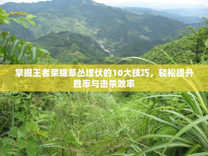 掌握王者荣耀草丛埋伏的10大技巧，轻松提升胜率与击杀效率