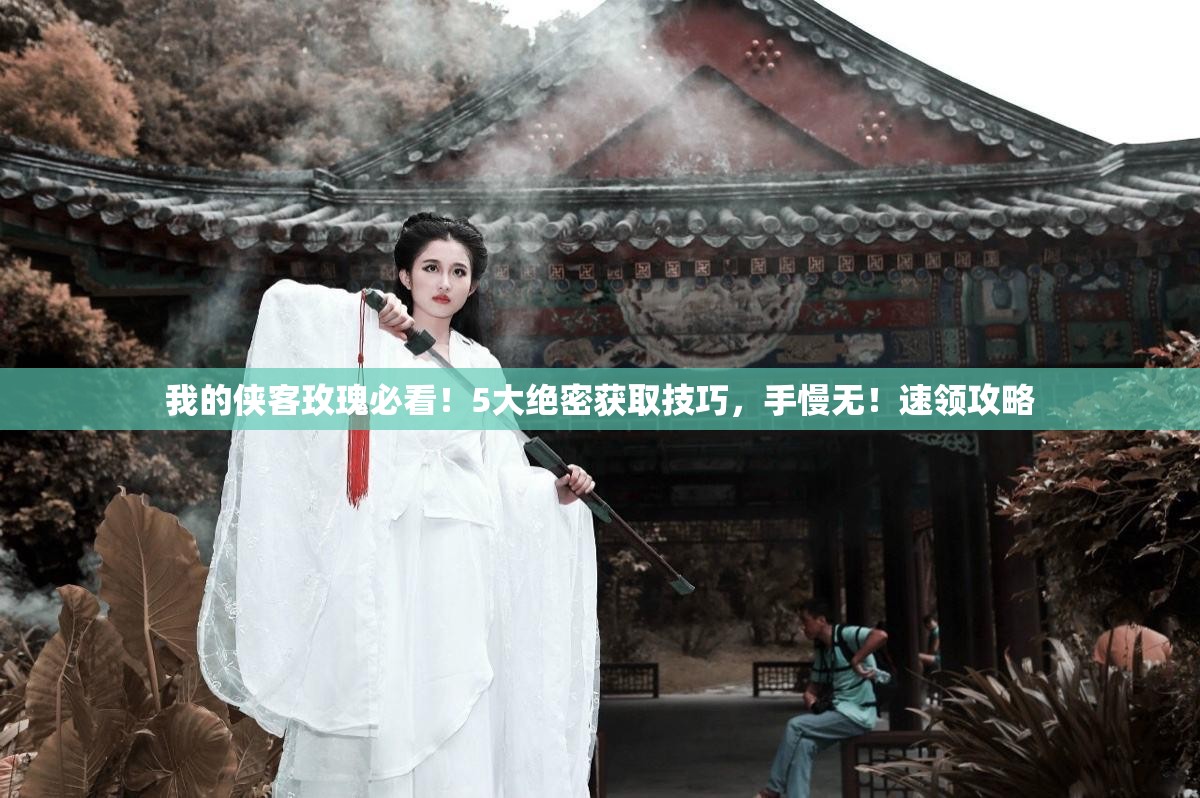 我的侠客玫瑰必看！5大绝密获取技巧，手慢无！速领攻略